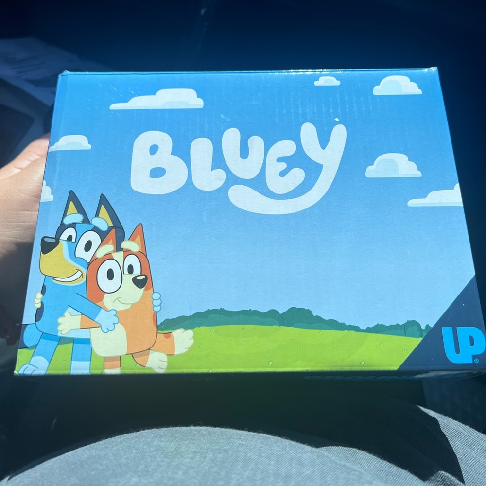 Bluey UP High Tops